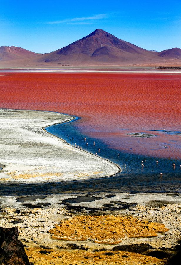 La laguna Colorada 1