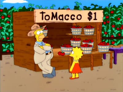 predicciones de los Simpson 6