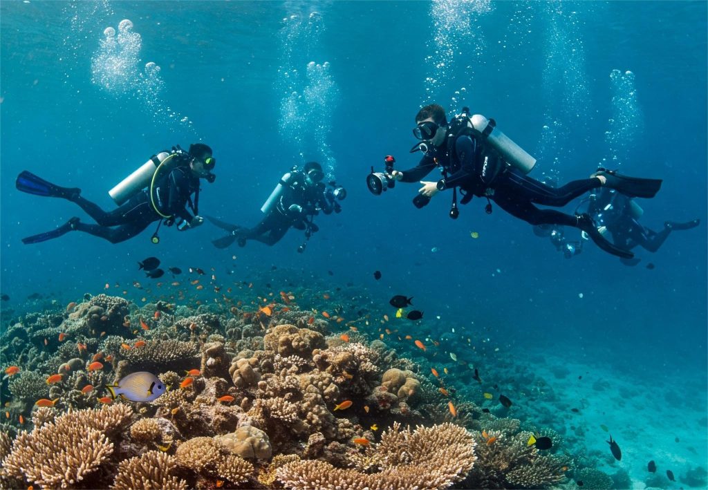 Sumérgete en un Mundo Mágico: Los 10 Destinos Más Espectaculares para Buceo en Cuba 9 Gemini Generated Image xjql23xjql23xjql