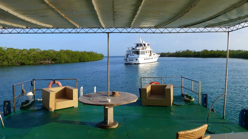 Sumérgete en un Mundo Mágico: Los 10 Destinos Más Espectaculares para Buceo en Cuba 7 cuba jardins reine slid5