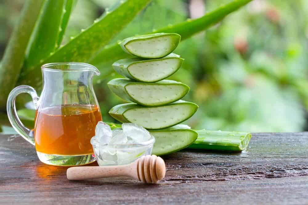 Sábila: El Potente Aliado Natural para Tu Salud y Cómo Usarla de 5 Formas 8 la-sabila